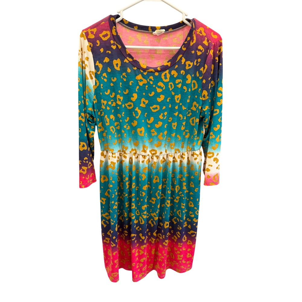 Sew In Love Rainbow Ombre Leopard Print Long Sleeve Fit‎ Flare Dress Large BZ059